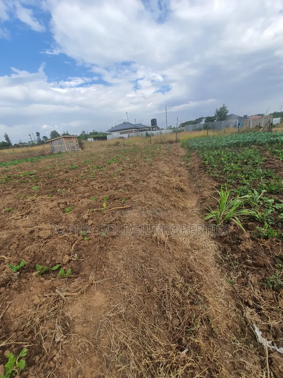 Nanyuki Plots Near Tarmac