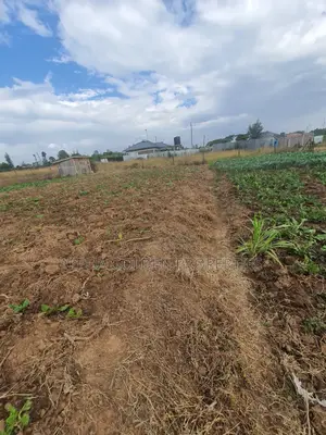 Nanyuki Plots Near Tarmac