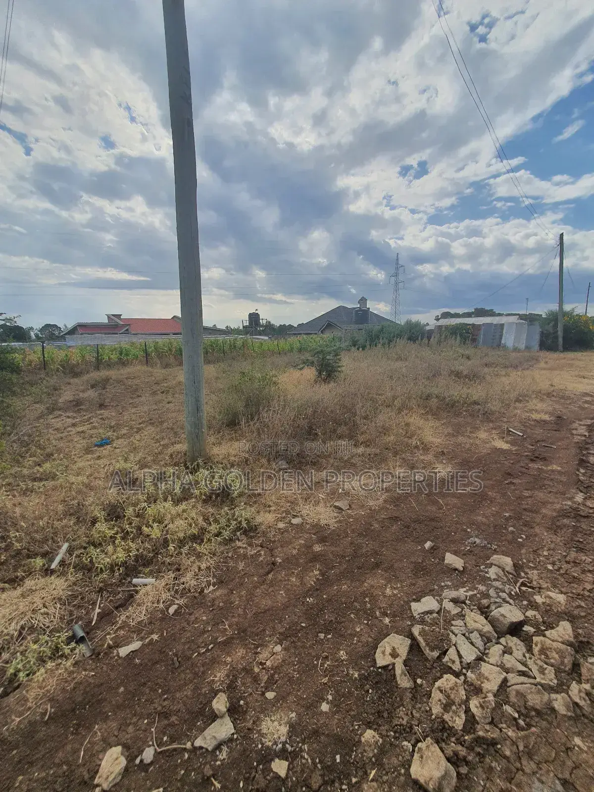 Nanyuki Plots Near Tarmac