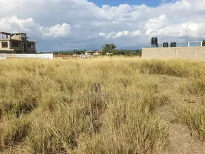 Nanyuki Airstrip Area Plots