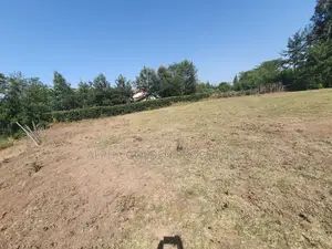 Nanyuki Quarter Plots Behind Airstrip