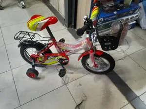 Lion King Kids Bike Size 12 Children Bicycle