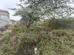 Residential Eighth Acre Estate Plot in Ongata Rongai, Rimpa - thumbnail 2