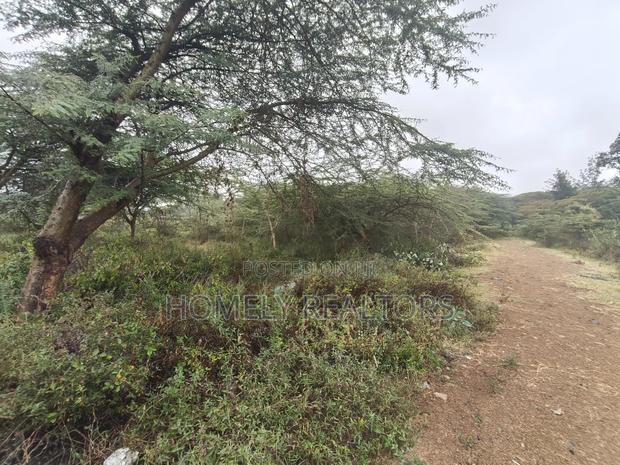 Residential Eighth Acre Estate Plot in Ongata Rongai, Rimpa - thumbnail 3