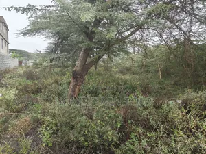 Residential Eighth Acre Estate Plot in Ongata Rongai, Rimpa
