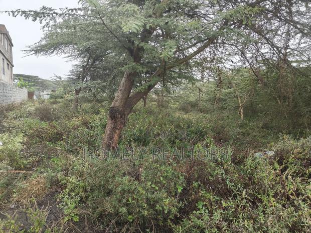 Residential Eighth Acre Estate Plot in Ongata Rongai, Rimpa - thumbnail 4