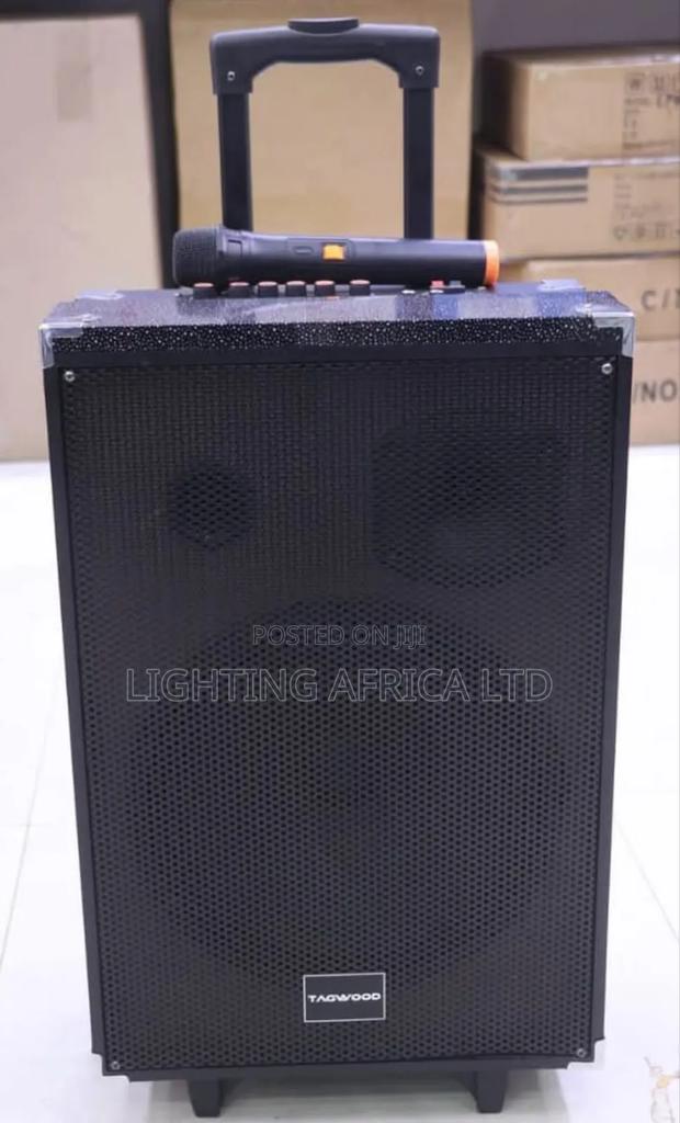 10" Tagwood Rechargeable Wireless Microphone Speaker