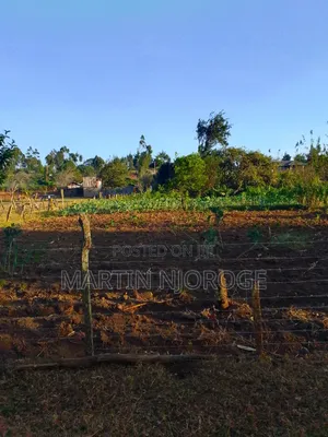1⁄2 Acre Gitithia, Uplands