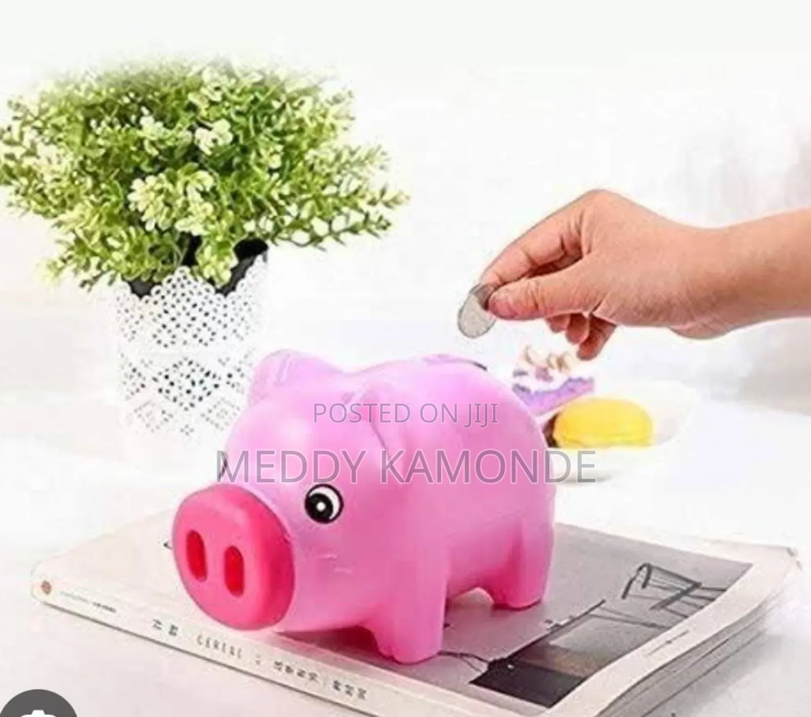 Money/Pig Bank