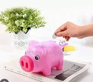 Money/Pig Bank