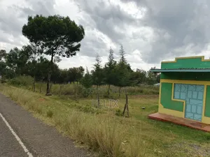 Narumoru/Mwicuiri 2 Acres Main Tarmac