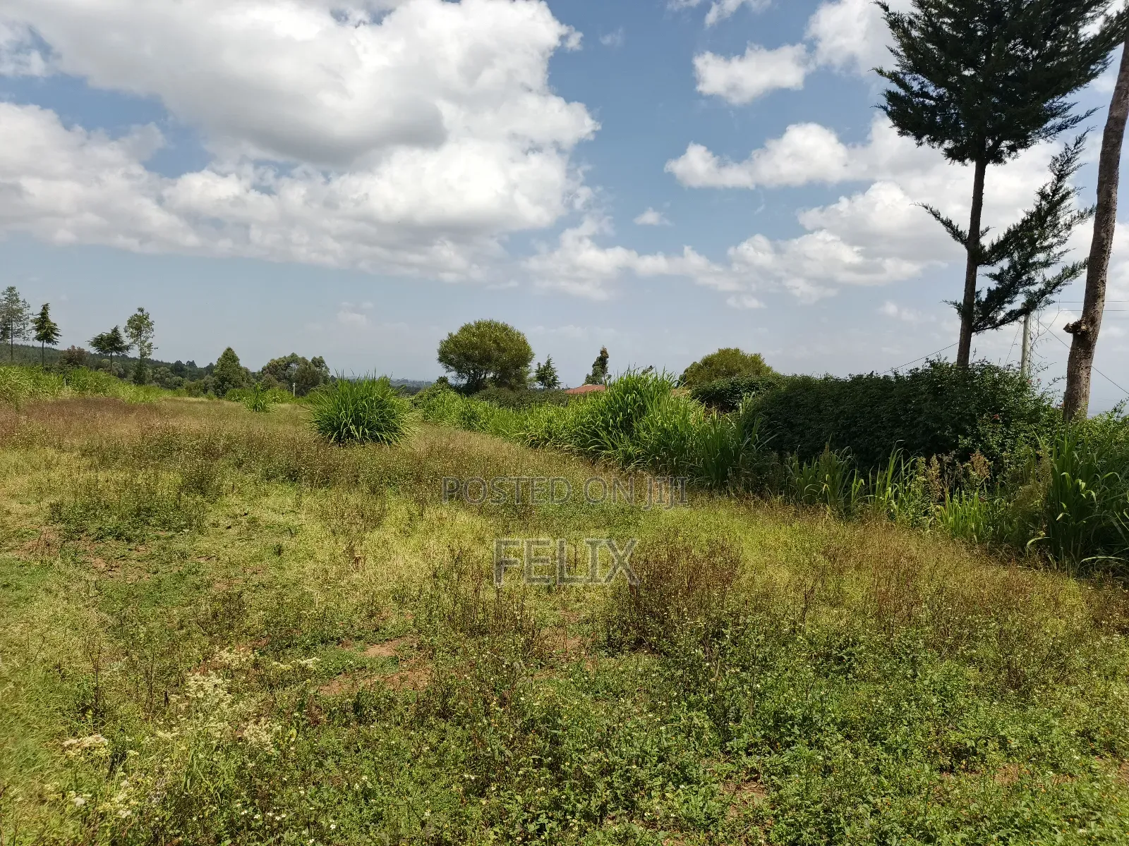 Narumoru/Mwicuiri 2 Acres Main Tarmac