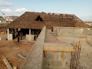 Modern Makuti Roofing Dealers