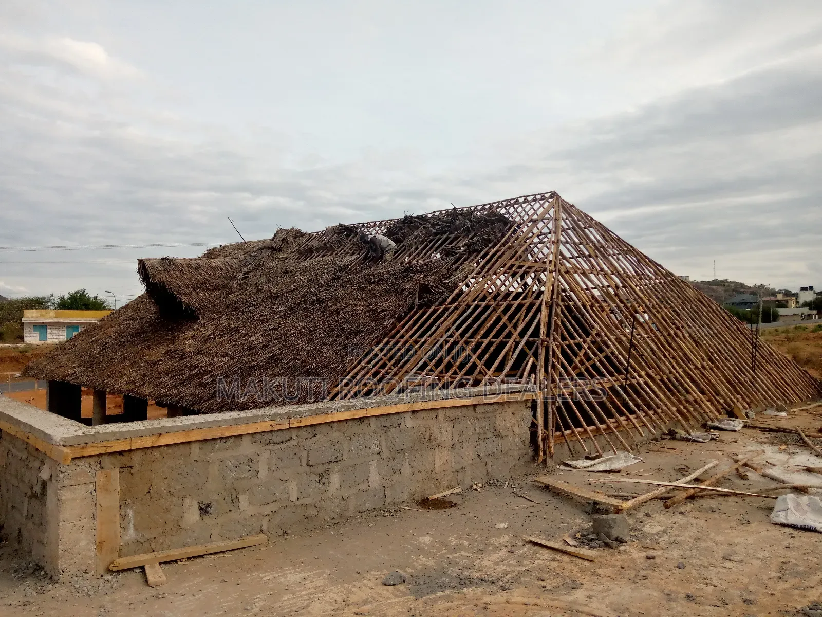 Modern Makuti Roofing Dealers