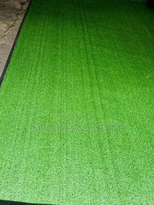 All Weather Artificial Grass Carpet Cleaner Rain or Shine