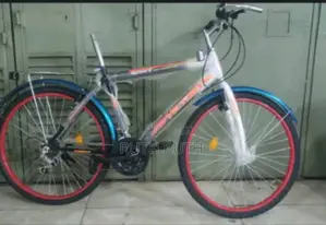 Victory Bike Size 26
