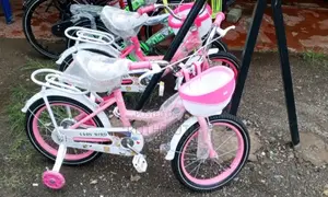 Lady Bird Bike Size 16