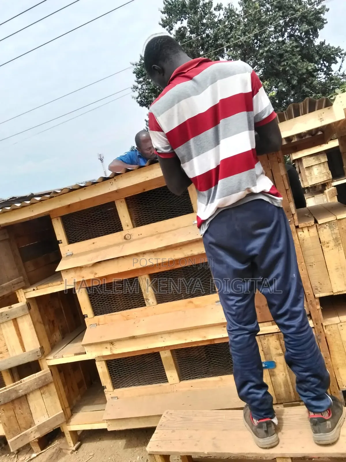 Grab Your Offer Chicken Coop,Dog Kennels, Rabbit Hutch