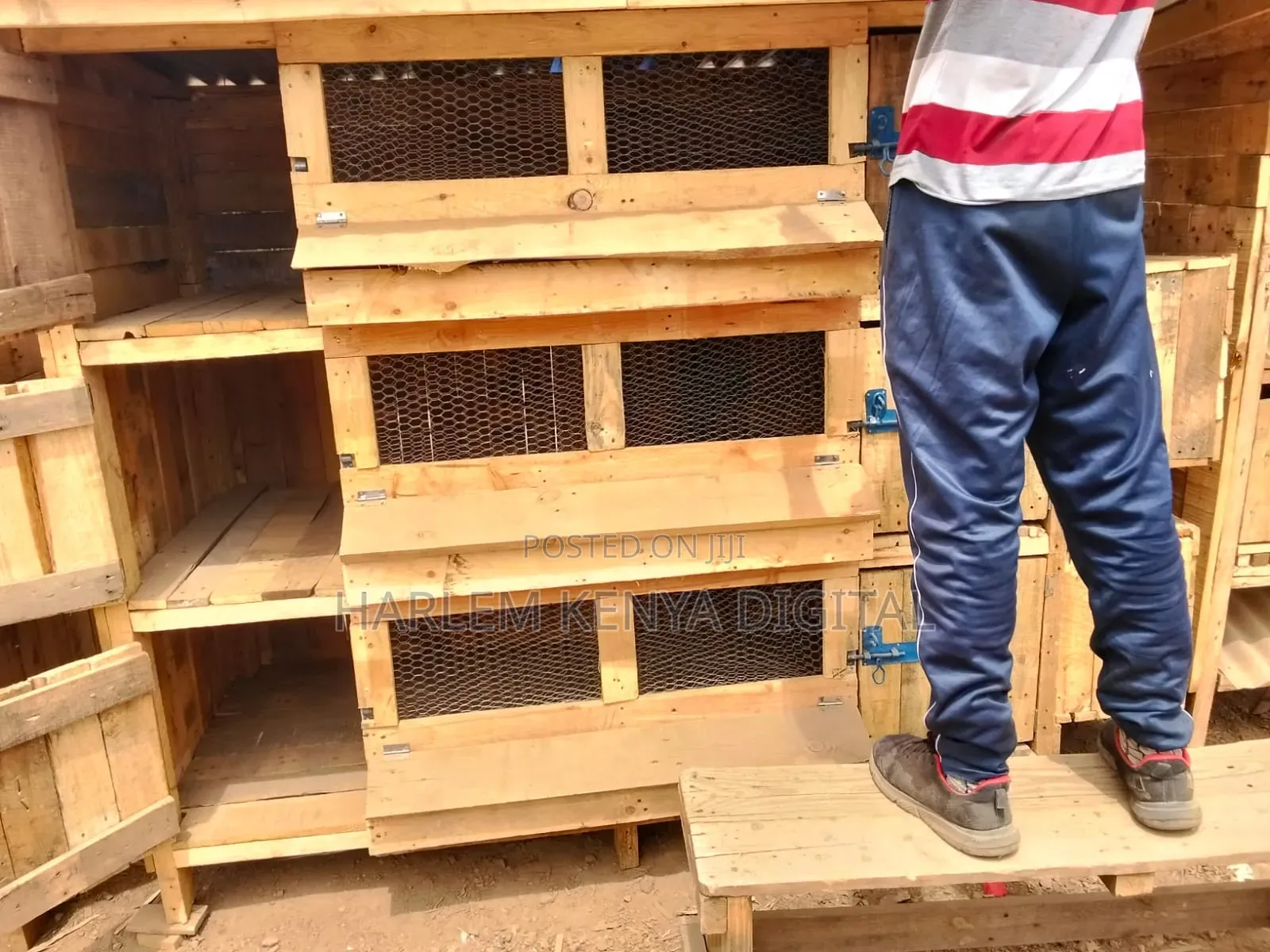Grab Your Offer Chicken Coop,Dog Kennels, Rabbit Hutch