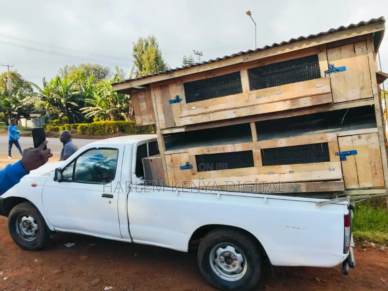 Grab Your Offer Chicken Coop,Dog Kennels, Rabbit Hutch