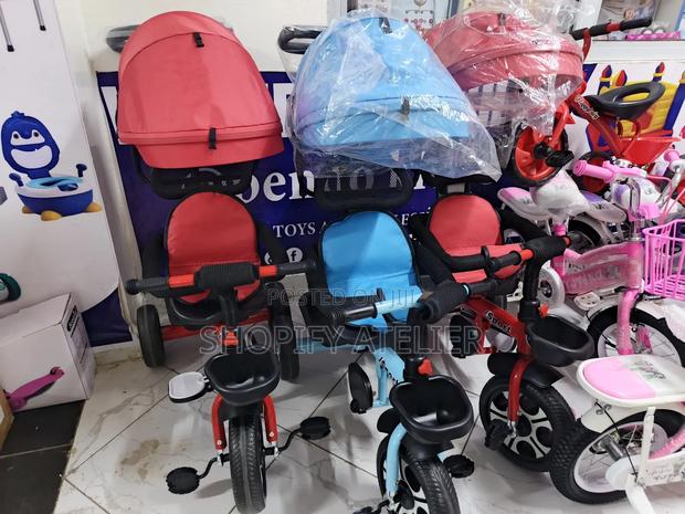 Baby Tricycle With Push and Canopy - main view