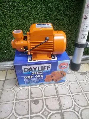 Highly Recommend 0.5hp Dayliff Booster Pump