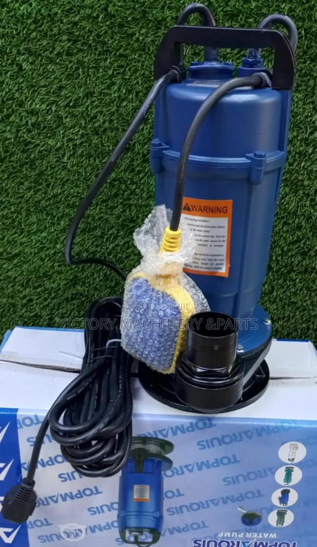 1.5hp Marquis Surbmusible Pump