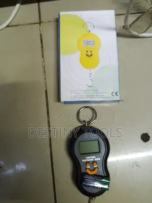 Portable Electronic Scale