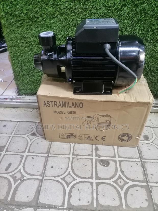 Commercial Standard 1.0hp Astramilano Booster Pump