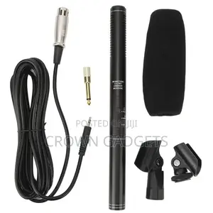 Panasonic Electret Mic – Directional Audio for Interviews