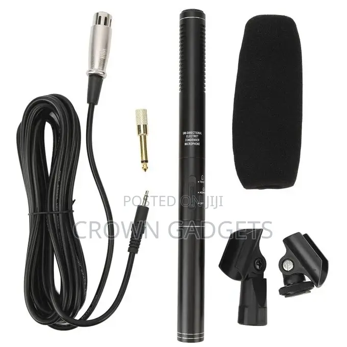 Panasonic Electret Mic – Directional Audio for Interviews