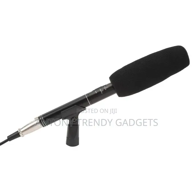 Panasonic Interview Mic – Condenser Uni-directional Pickup