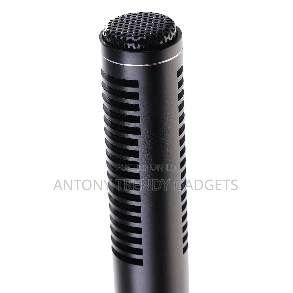Panasonic Interview Mic – Condenser Uni-directional Pickup