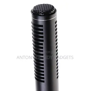 Panasonic Interview Mic – Condenser Uni-directional Pickup