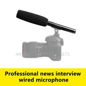 Panasonic Broadcast Mic – Long Range Audio Capture Mic