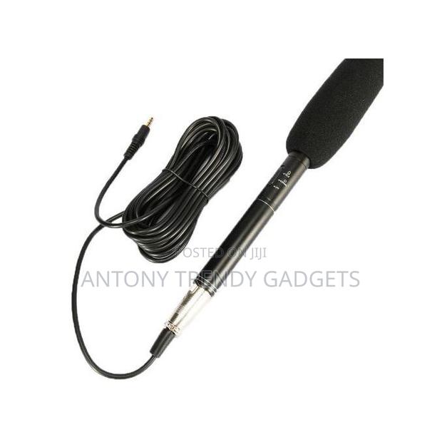Panasonic Condenser Mic – Pro-level Directional Recording