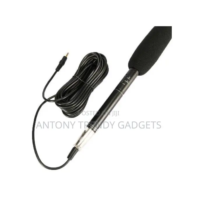 Panasonic Condenser Mic – Pro-level Directional Recording
