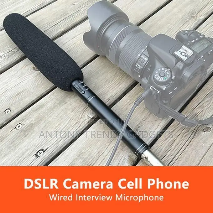 Panasonic Condenser Mic – Pro-level Directional Recording