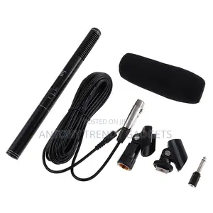 Panasonic Professional Mic Long Range Uni-Directional Audio