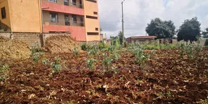 50by100 Plot for Sale in Gitaru