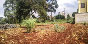 50by100 Plot for Sale in Gitaru