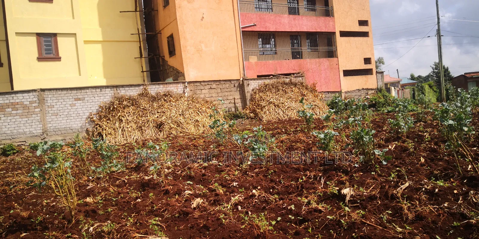 50by100 Plot for Sale in Gitaru