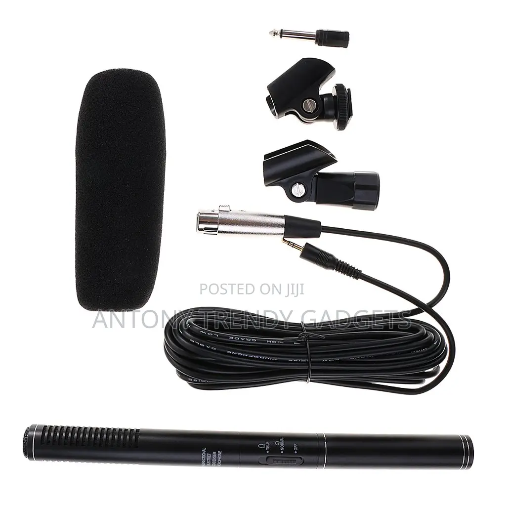 Panasonic Camera Mic – Electret Uni-Directional Microphone