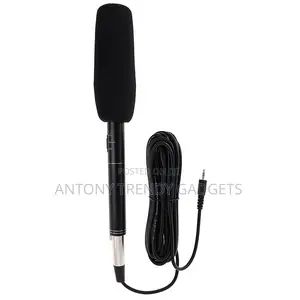 Panasonic External Mic – Super Directional Sound Pickup