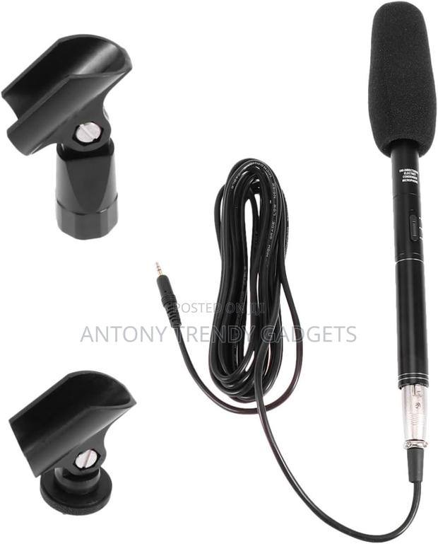 Panasonic Electret Mic – Directional Mic for Video Shoots