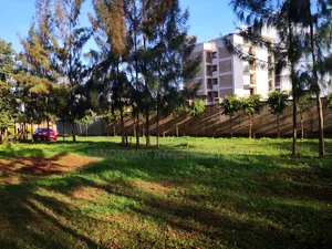 50x100 Plot in Kikuyu Town