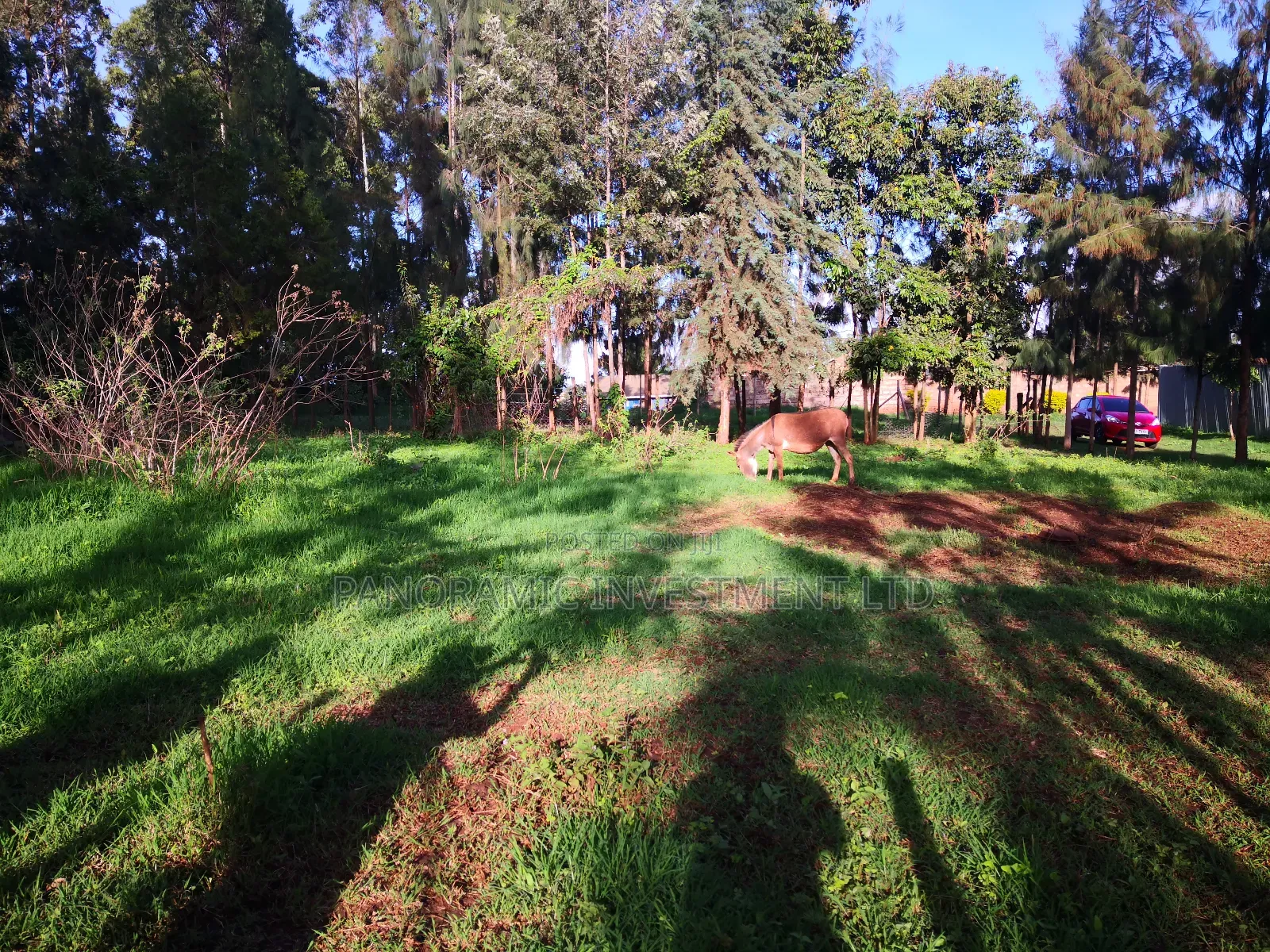 50x100 Plot in Kikuyu Town