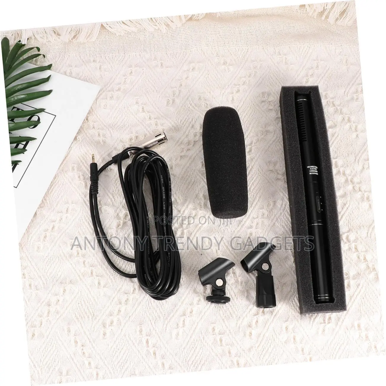 Uni-Directional Panasonic Mic– Interview Broadcast Audio