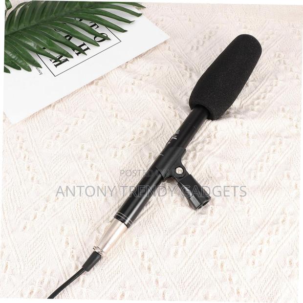 Panasonic Audio Mic – High Sensitivity Condenser for DSLR