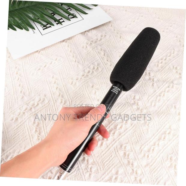 Panasonic Shotgun Microphone – Clear Voice Pickup Mic - main view